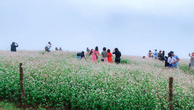 Xu hướng du lịch 'bình thường mới' - ảnh 2