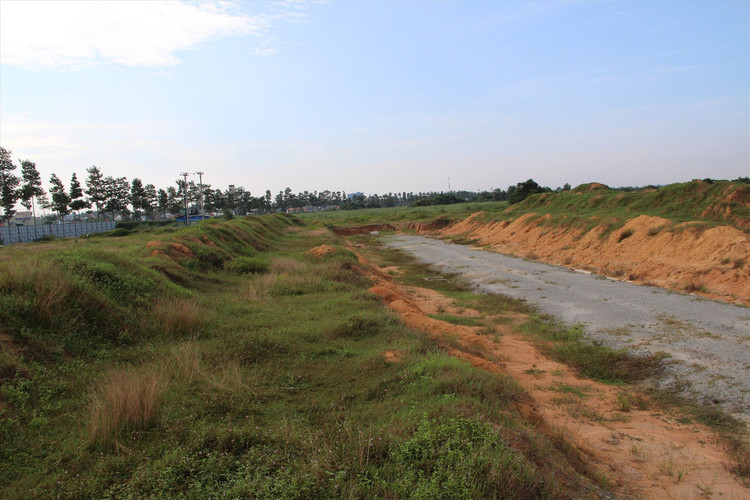 Khu đất 43ha. Ảnh: Đình Trọng