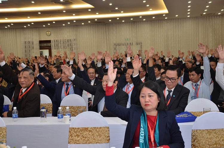 Chinh thuc khai mac Dai hoi Dai bieu toan quoc Lien hiep Hoi Viet Nam lan thu VIII-Hinh-2