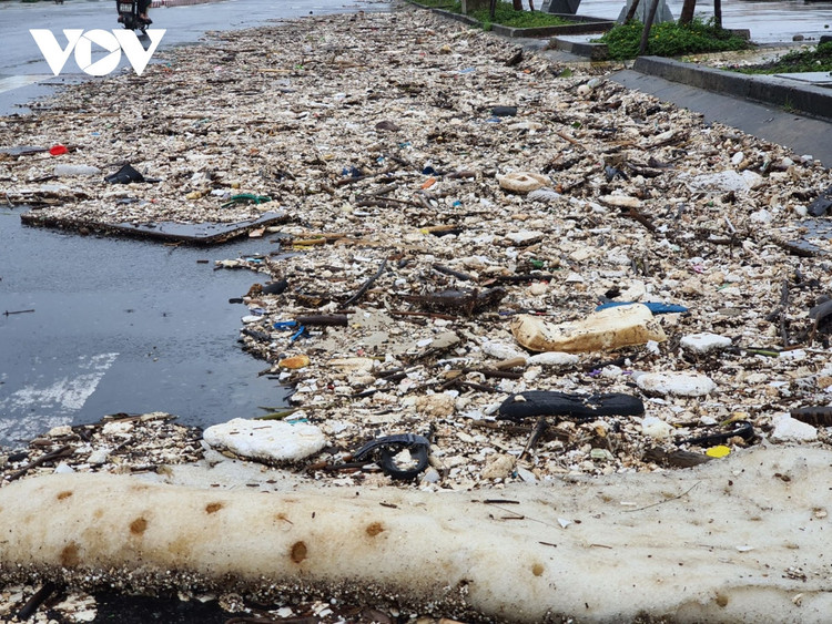 Cập nhật: Bão số 13 cuốn bay mái trường học, "nhổ" bật gốc cây, cuốn trôi nhà dân ảnh 42