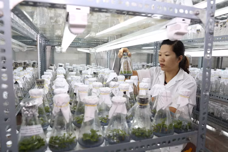 Nestlé Việt Nam phối hợp Viện Khoa học Kỹ thuật Nông lâm nghiệp Tây Nguyên WASI nghiên cứu các giống cà phê chống chịu hạn. Liên Hiệp Quốc đã chọn chủ đề “Nước và Biến đổi khí hậu” cho Ngày Nước thế giới 2020 nhằm nêu bật mối liên kết chặt chẽ giữa hai yếu tố này. Biến đổi khí hậu làm thay đổi vòng tuần hoàn của nước, như gây ra lũ lụt và khô hạn. Thích ứng với những thay đổi này sẽ giúp bảo vệ sức khỏe và cuộc sống của con người. Đồng thời, sử dụng nước tiết kiệm và hiệu quả hơn sẽ giúp giảm khí thải nhà kính, cũng như giảm tác động từ hạn hán, xâm nhập mặn.