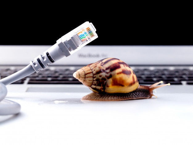 Dut cap quang khien Internet tai VN bi cham den 27/2-hinh-anh-1-snail_with_rj45_connector_symbolic_photo_slow_internet_connection_35641_1486.jpg