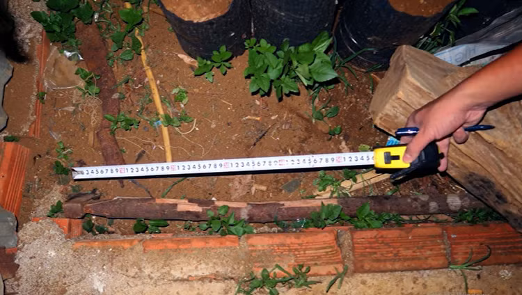 Hanh trinh pha vu bi thu xa giet chau ho roi tao hien truong gia hinh anh 2 hung_khi.jpg