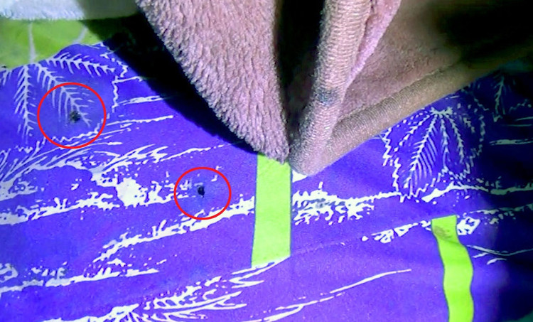 Hanh trinh pha vu bi thu xa giet chau ho roi tao hien truong gia hinh anh 1 viet_mau.jpg