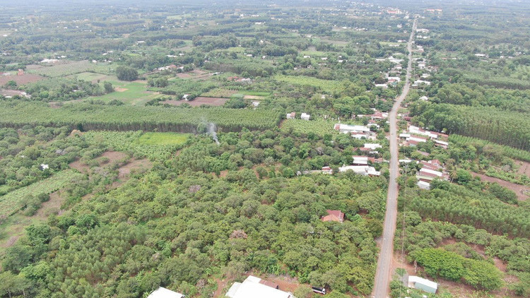 Gian nan giải tỏa mặt bằng sân bay Long Thành - ảnh 2