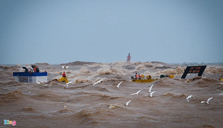 Giai cuu cac thuyen vien tren tau Vietship 01 anh 1