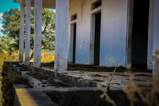 Cảnh hoang tàn tại trung tâm giống chăn nuôi gần 20 tỷ đồng - ảnh 6