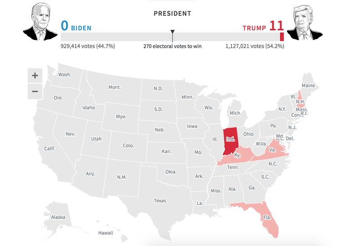 Mỹ sắp có cuộc bầu cử nhiều người bỏ phiếu nhất trong một thế kỉ - ảnh 24