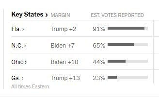 Mỹ sắp có cuộc bầu cử nhiều người bỏ phiếu nhất trong một thế kỉ - ảnh 19