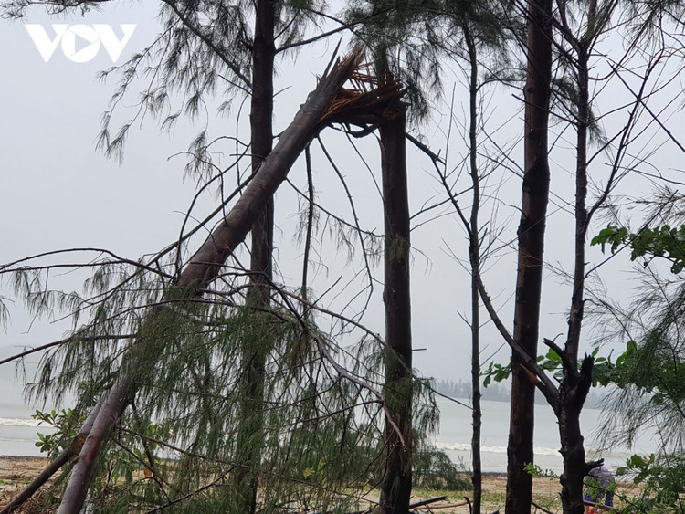 Cập nhật: Bão số 13 cuốn bay mái trường học, "nhổ" bật gốc cây, cuốn trôi nhà dân ảnh 45