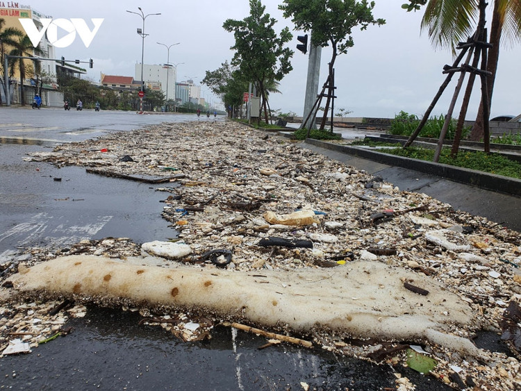 Cập nhật: Bão số 13 cuốn bay mái trường học, "nhổ" bật gốc cây, cuốn trôi nhà dân ảnh 41