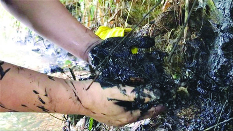 Hành trình truy dấu ô nhiễm nguồn nước sông Đà - ảnh 4