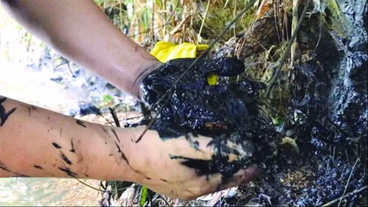 Hành trình truy dấu ô nhiễm nguồn nước sông Đà - ảnh 4