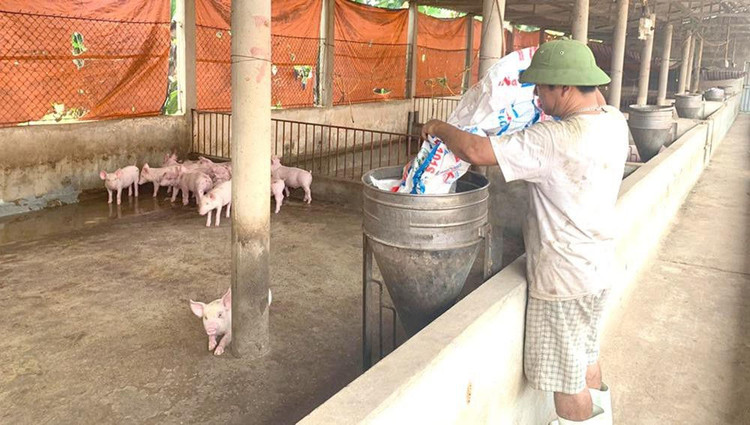 Kỳ án 'bán đất không kèm nhà' (Bài 3): 'Đến giờ tôi vẫn không hiểu vì sao tôi bị tội?'