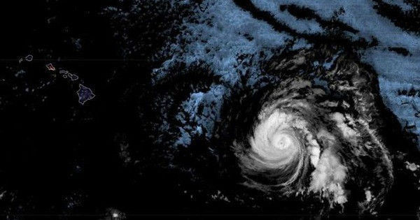 Bão chồng Covid-19, Tổng thống Trump ban bố tình trạng khẩn cấp - Ảnh 1.