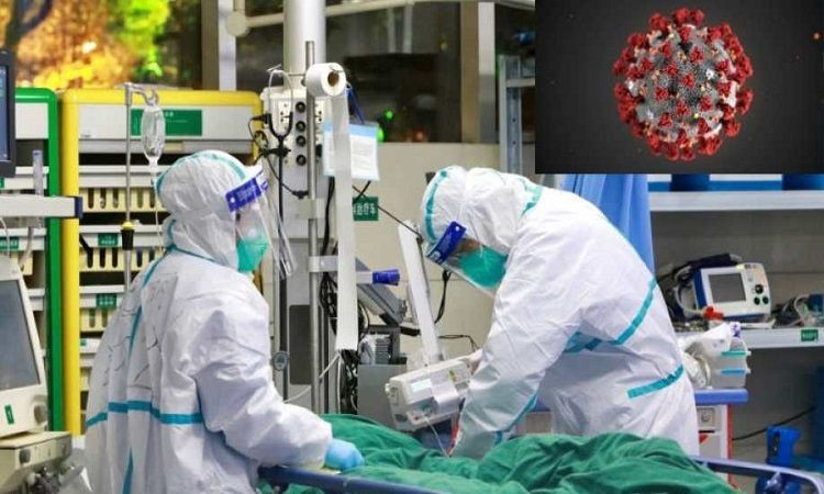 Thử nghiệm vaccine ngừa virus corona trên chuột sẽ cho kết quả trong vài tháng tới. Ảnh: Reuters.