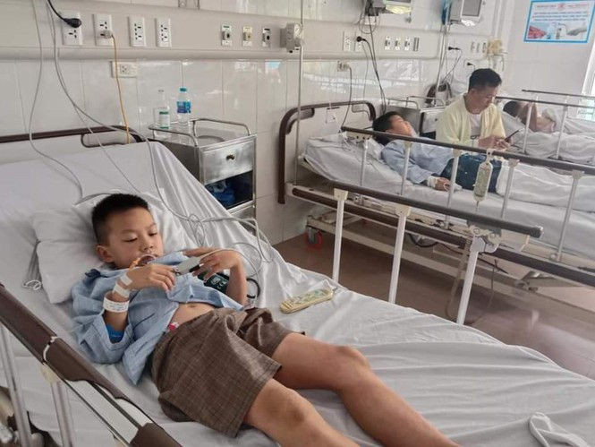 Bị tổ ong tấn công, 16 học sinh tiểu học phải nhập viện - ảnh 1