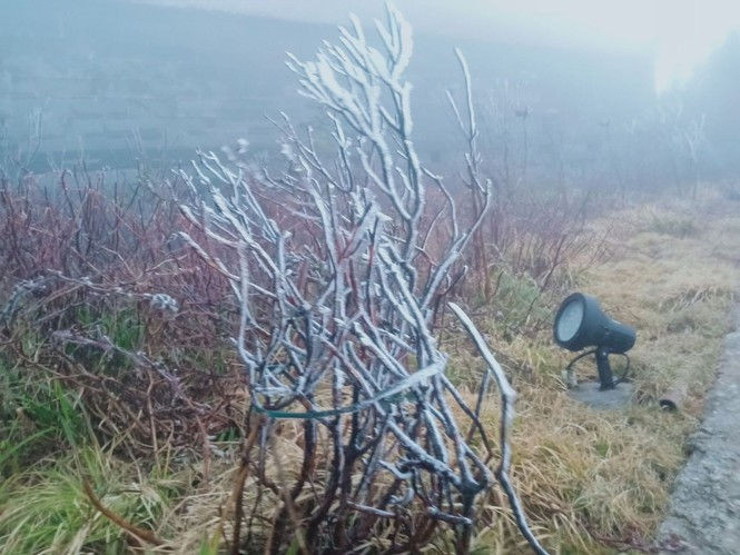 Nhiệt độ giảm sâu, băng tuyết phủ trắng Fansipan như trời Âu - ảnh 7