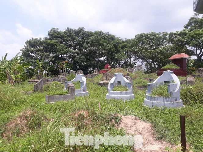 Siêu dự án giao đất 'thần tốc', chục ngàn căn hộ tái định cư bỏ không lãng phí - ảnh 4