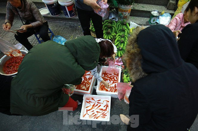 Dân chung cư rồng rắn mua đồ lễ cúng ông Công ông Táo - ảnh 4