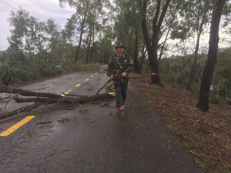 Cập nhật: Bão số 13 cuốn bay mái trường học, "nhổ" bật gốc cây, cuốn trôi nhà dân ảnh 1