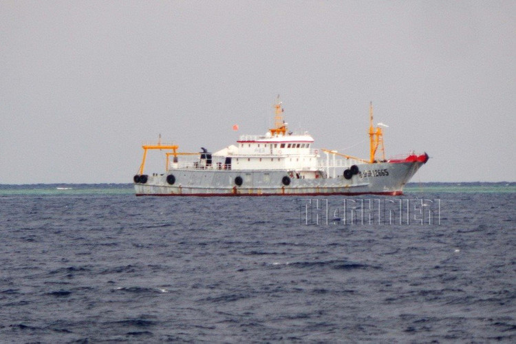 Tàu cá vỏ sắt Việt Đài Ngư 12665 tại Trường Sa, tháng 10.2019. Ảnh: Mai Thanh Hải Tàu cá Việt Điện Ngư 42899 tại Trường Sa, tháng 10.2019. Ảnh: Mai Thanh Hải Tàu cá vỏ sắt 750 tấn của Trung Quốc xuất hiện tại Trường Sa, tháng 2.2018. Ảnh: Mai Thanh Hải Tàu cá vỏ sắt Trung Quốc sơn màu đen, buồng lái màu trắng, cao 3 tầng, tại vùng biển Sinh Tồn (Trường Sa), tháng 1.2018. Ảnh: Mai Thanh Hải Tàu cá Quế Khâm Ngư 12665 xâm phạm vùng đặc quyền kinh tế Việt Nam, tháng 5.2019. Ảnh: Mai Thanh Hải Tàu cá Trung Quốc hạ thủy đầu 2016 và tháng 4.2016 xuất hiện ngoài Trường Sa. Ảnh: Mai Thanh Hải (còn tiếp)