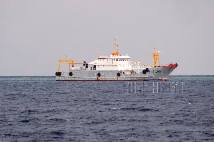 Tàu cá vỏ sắt Việt Đài Ngư 12665 tại Trường Sa, tháng 10.2019. Ảnh: Mai Thanh Hải Tàu cá Việt Điện Ngư 42899 tại Trường Sa, tháng 10.2019. Ảnh: Mai Thanh Hải Tàu cá vỏ sắt 750 tấn của Trung Quốc xuất hiện tại Trường Sa, tháng 2.2018. Ảnh: Mai Thanh Hải Tàu cá vỏ sắt Trung Quốc sơn màu đen, buồng lái màu trắng, cao 3 tầng, tại vùng biển Sinh Tồn (Trường Sa), tháng 1.2018. Ảnh: Mai Thanh Hải Tàu cá Quế Khâm Ngư 12665 xâm phạm vùng đặc quyền kinh tế Việt Nam, tháng 5.2019. Ảnh: Mai Thanh Hải Tàu cá Trung Quốc hạ thủy đầu 2016 và tháng 4.2016 xuất hiện ngoài Trường Sa. Ảnh: Mai Thanh Hải (còn tiếp)