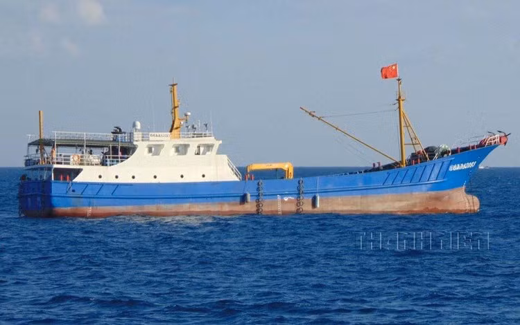 Tàu vỏ sắt Quỳnh Hải Ngư 82033, lượng giãn nước 300 tấn tại Trường Sa, năm 2014. Ảnh: Mai Thanh Hải Tàu cá Trung Quốc không rõ số hiệu, cùng loại 300 tấn nhưng sơn màu xám. Hình chụp tại Trường Sa, năm 2014. Ảnh: Mai Thanh Hải Người trên buồng lái tàu cá vỏ sắt Quỳnh Hải Ngư 16888 dùng ống nhòm quan sát khi tàu Việt Nam cơ động lại gần; Trường Sa, năm 2015. Ảnh: Mai Thanh Hải Tàu cá vỏ sắt Quế Bắc Ngư 50068 của tỉnh Quảng Tây sơn màu xám giống màu sơn của các tàu hải quân Trung Quốc, chụp tháng 4.2019 trên vùng biển miền Trung. Ảnh: Mai Thanh Hải Tàu cá vỏ sắt Quế Bắc Ngư 91099 sơn màu xanh, buồng lái trắng đang bị lực lượng chấp phát Việt Nam xua đuổi khỏi vùng đặc quyền kinh tế Việt Nam, tháng 4.2019. Ảnh: Mai Thanh Hải