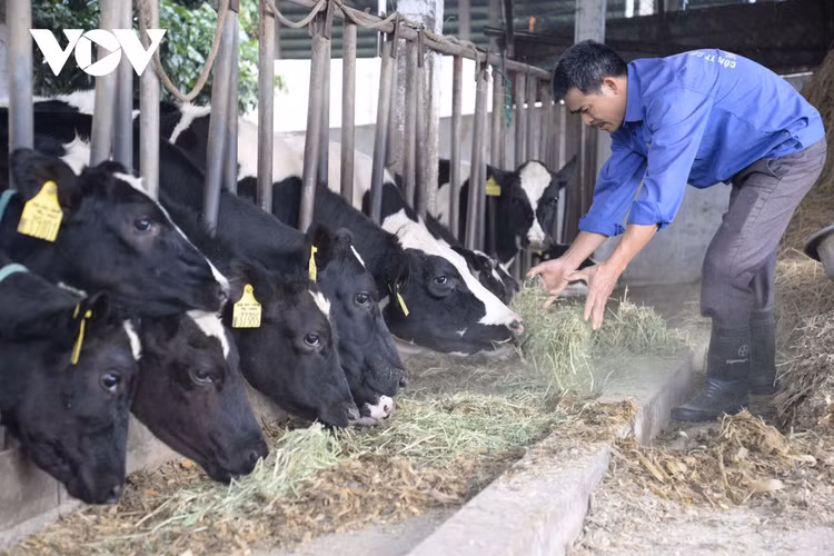 Cao nguyên Mộc Châu - điểm đến hấp dẫn trên cung đường khám phá miền Tây Bắc ảnh 5 Cao nguyên Mộc Châu - điểm đến hấp dẫn trên cung đường khám phá miền Tây Bắc ảnh 5