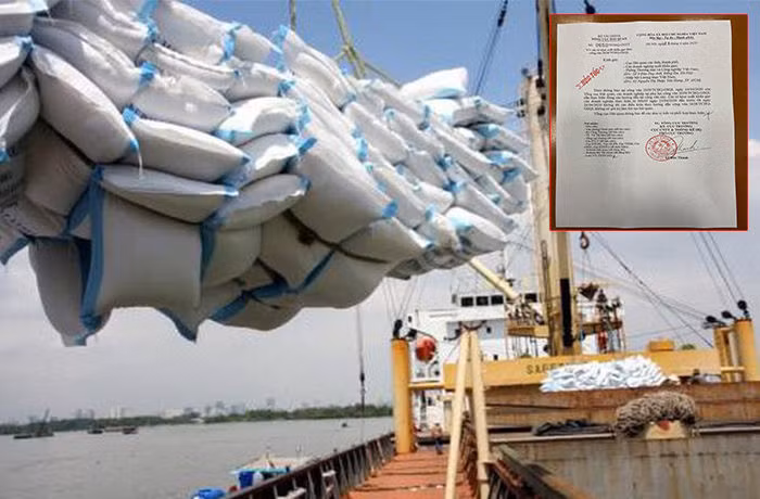 Xuất khẩu gạo: Phát hiện hàng loạt tờ khai không có giá trị - 1
