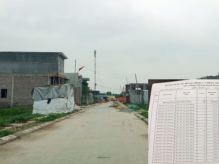 Đường 'nhuệ' thao túng nhiều vụ đấu giá đất - ảnh 1