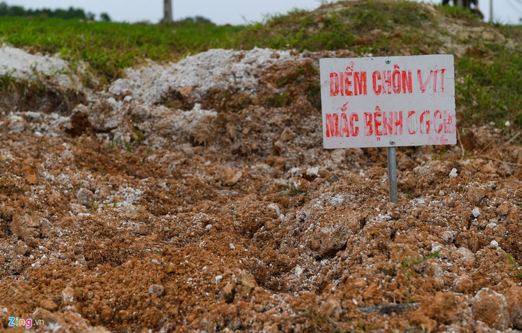 Rai voi, khu trung khi dich cum A/H5N6-xuat-hien-hinh-anh-6-6_H5N6_Chuong_My_zing20.jpg