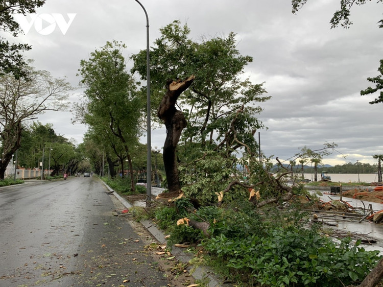 Cập nhật: Bão số 13 cuốn bay mái trường học, "nhổ" bật gốc cây, cuốn trôi nhà dân ảnh 31