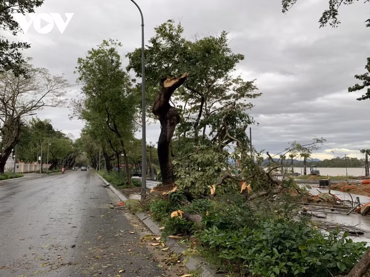 Cập nhật: Bão số 13 cuốn bay mái trường học, "nhổ" bật gốc cây, cuốn trôi nhà dân ảnh 31