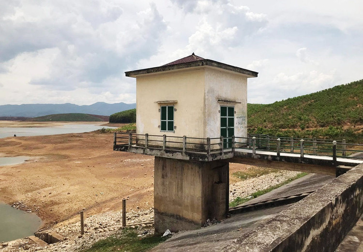 Cận cảnh những cánh đồng lúa cháy khô vì hạn hán - 3