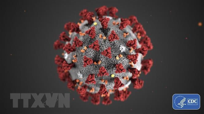 [Audio] Bien chung moi cua virus SARS-CoV-2 nguy hiem nhu the nao? hinh anh 1