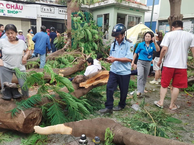 Pho chu tich TP.HCM: 3 hoc sinh bi cay de bi thuong tuong doi nang hinh anh 2 38a7b6420bebf1b5a8fa.jpg