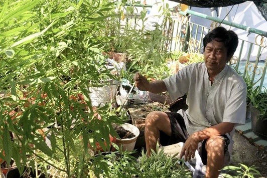 trong cay can sa anh 1