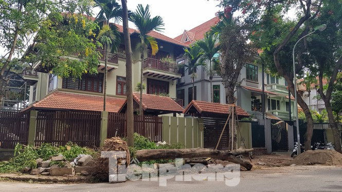 Cận cảnh biệt thự đô thị mẫu Hà Nội 'đua nhau' thay cây xanh, lát vỉa hè sai quy hoạch - ảnh 3