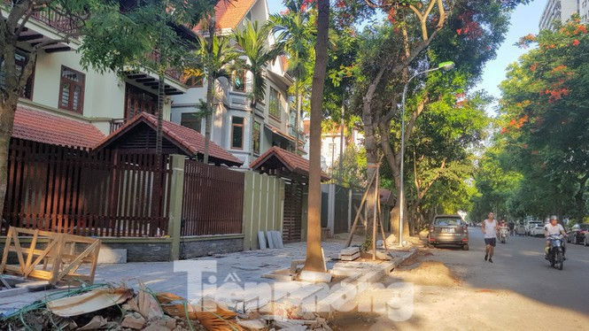 Cận cảnh biệt thự đô thị mẫu Hà Nội 'đua nhau' thay cây xanh, lát vỉa hè sai quy hoạch - ảnh 1