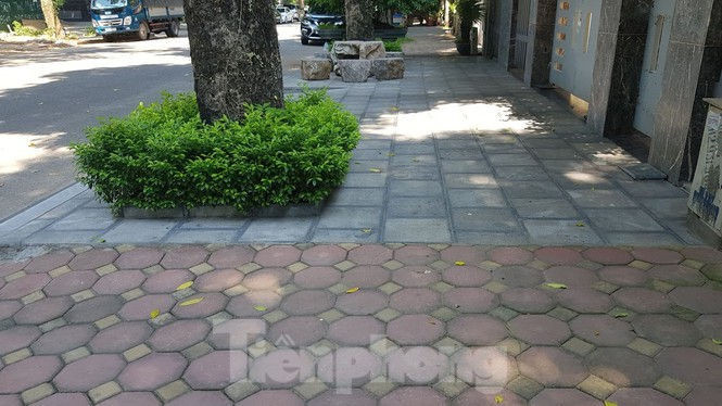 Cận cảnh biệt thự đô thị mẫu Hà Nội 'đua nhau' thay cây xanh, lát vỉa hè sai quy hoạch - ảnh 25