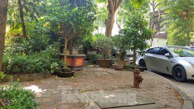 Cận cảnh biệt thự đô thị mẫu Hà Nội 'đua nhau' thay cây xanh, lát vỉa hè sai quy hoạch - ảnh 26