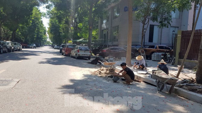 Cận cảnh biệt thự đô thị mẫu Hà Nội 'đua nhau' thay cây xanh, lát vỉa hè sai quy hoạch - ảnh 5