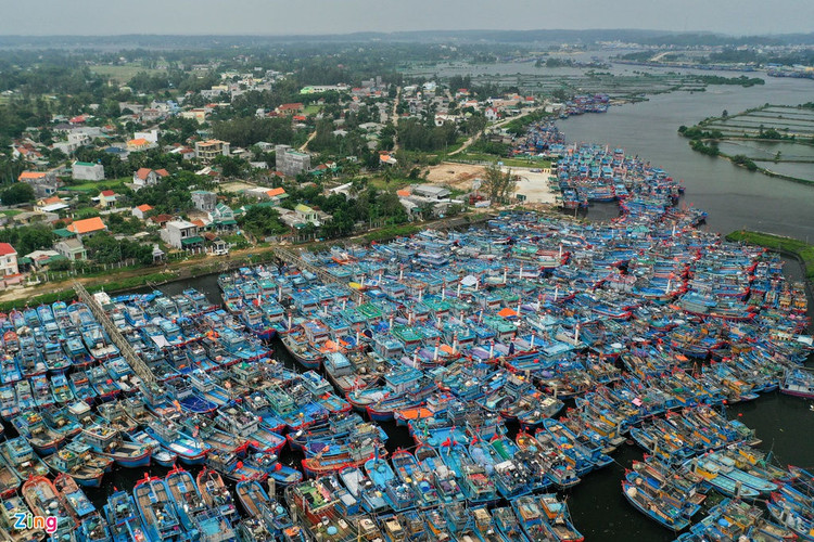 Tau ca tranh bao so 9 anh 1