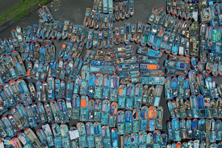 Tau ca tranh bao so 9 anh 5