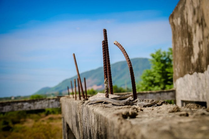 Cảnh hoang tàn tại trung tâm giống chăn nuôi gần 20 tỷ đồng - ảnh 9