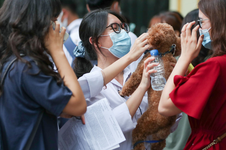 Bày tỏ về trân trọng cuộc sống, thí sinh khen đề Văn hay - 1