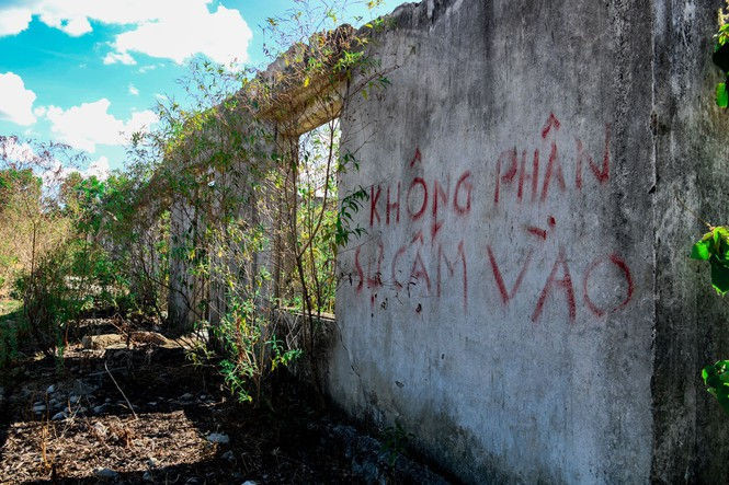 Cảnh hoang tàn tại trung tâm giống chăn nuôi gần 20 tỷ đồng - ảnh 2