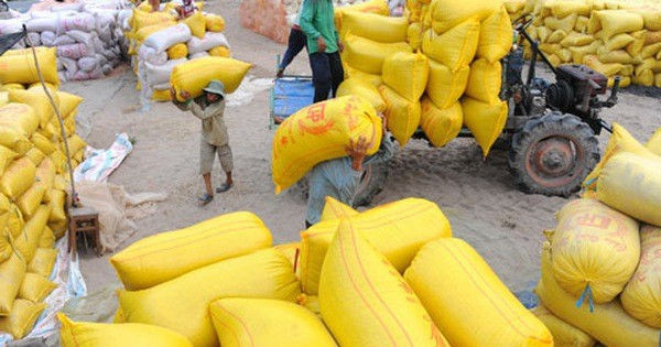 Hơn 38.000 tấn gạo được mở tờ khai vào 0 giờ ngày 26-4 - Ảnh 1.