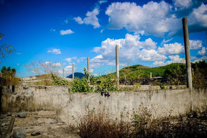 Cảnh hoang tàn tại trung tâm giống chăn nuôi gần 20 tỷ đồng - ảnh 10